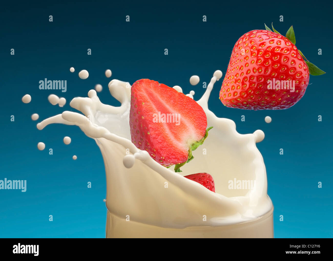 Spritzer Milch, verursacht durch fallen in eine Reife Erdbeere. Isoliert auf einem blauen Hintergrund. Stockfoto