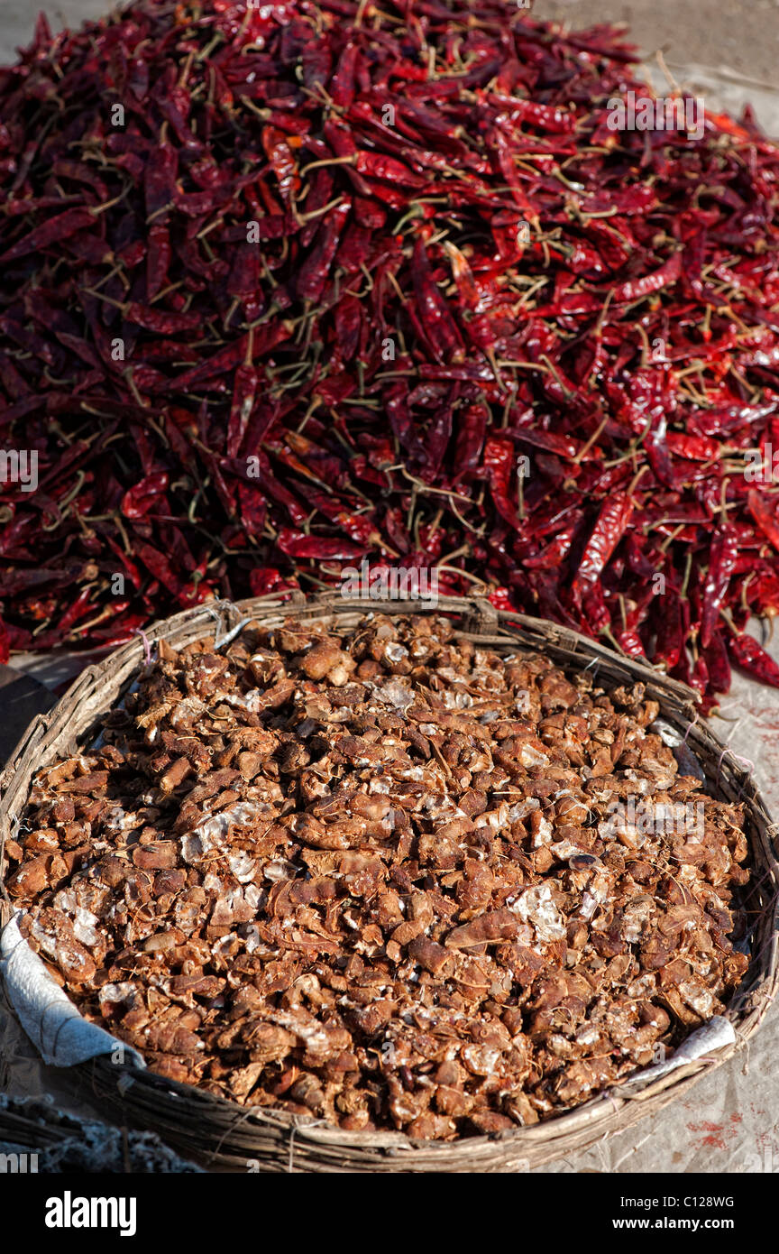 Samenkapseln Tamarinde (Tamarindus Indica) und getrocknete rote Chili zum Verkauf auf einem indischen Markt. Andhra Pradseh, Indien Stockfoto