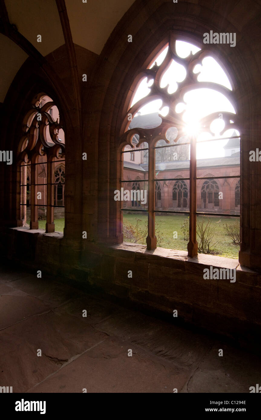 Gotische Fenster, Basler Münster Dom, Basel, Schweiz, Europa  Stockfotografie - Alamy