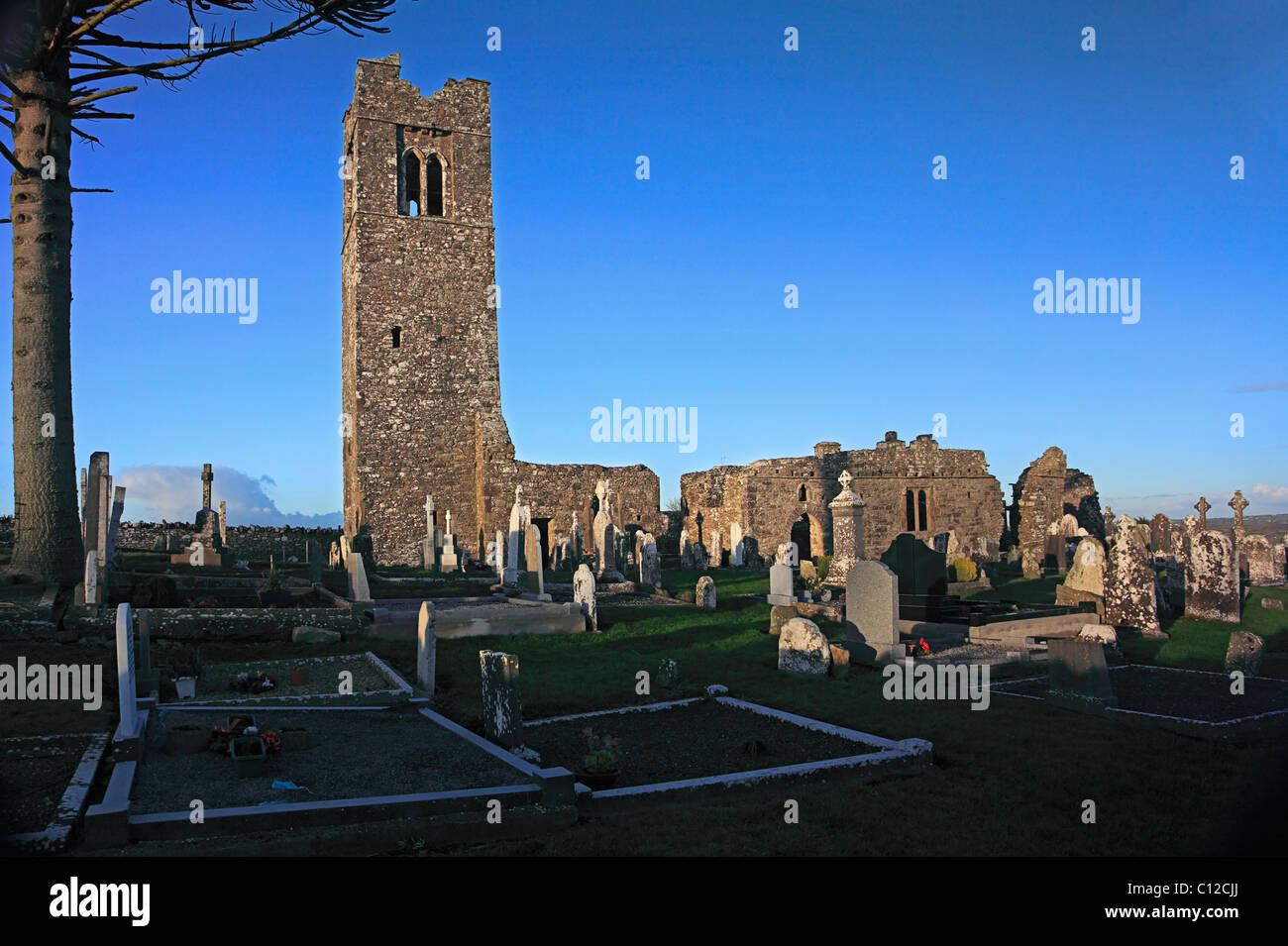 Slane Abbey Co. Meath Ireland Stockfoto