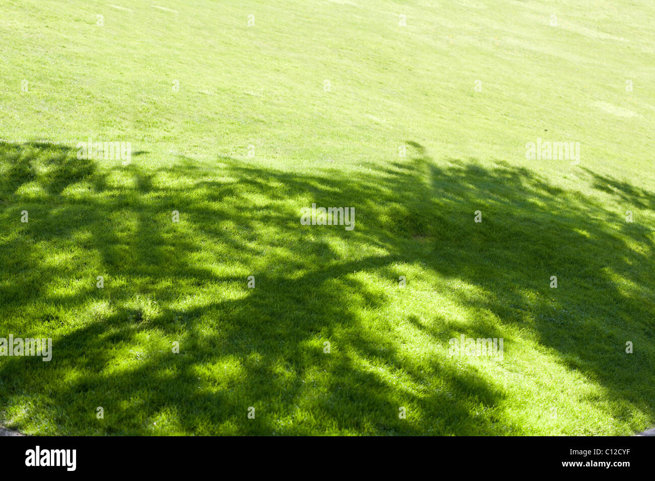 Grüne Wiese mit Schatten für Hintergrund Stockfoto