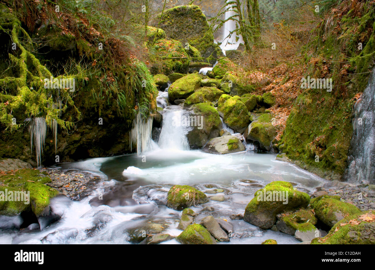 40,158.06254 ein einen kleinen Bach mit Wasserfall fließt eine felsige winter Creek Bed, Eis einfrieren in ungeraden künstlerischen Formen, Felsen grün mit Moos. Stockfoto