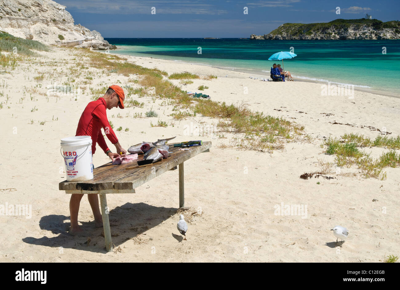 Mann Reinigung Fische an einem Strand bei Hamelin Bay, Westaustralien Stockfoto