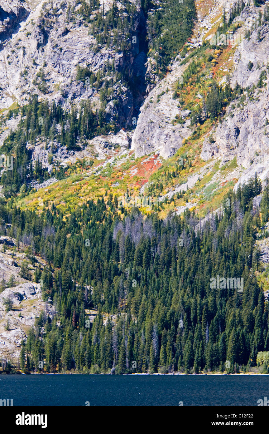 Teton Range Mountains, Ansichten von Jenny Lake, Mt. St. John, hängenden Canyon, Rockchuck Peak, Grand-Teton-Nationalpark, Wyoming, USA Stockfoto