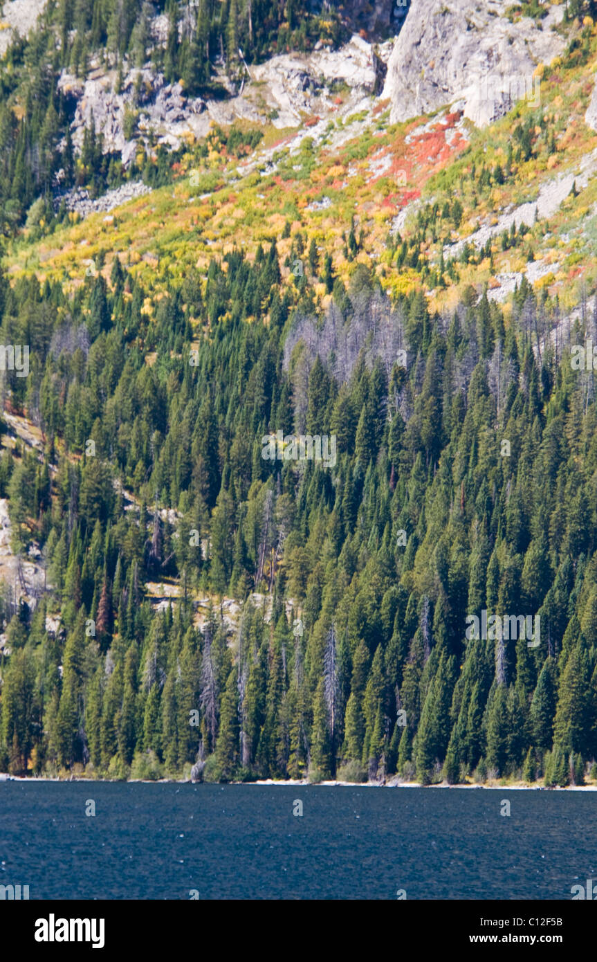 Teton Range Mountains, Ansichten von Jenny Lake, Mt. St. John, hängenden Canyon, Rockchuck Peak, Grand-Teton-Nationalpark, Wyoming, USA Stockfoto