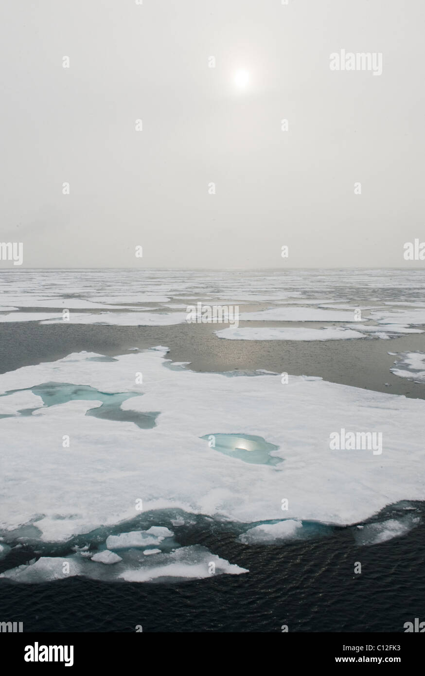 Packen Sie Eis und Nebel, 81 Grad Nord, Spitzbergen, Arktis Norwegen Stockfoto