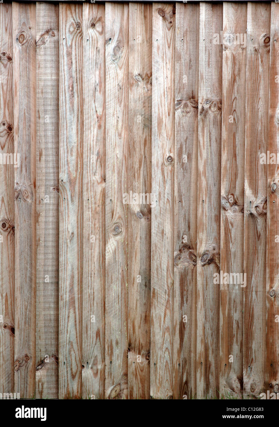 Zaun aus Holz Kratzer im Garten Stockfoto