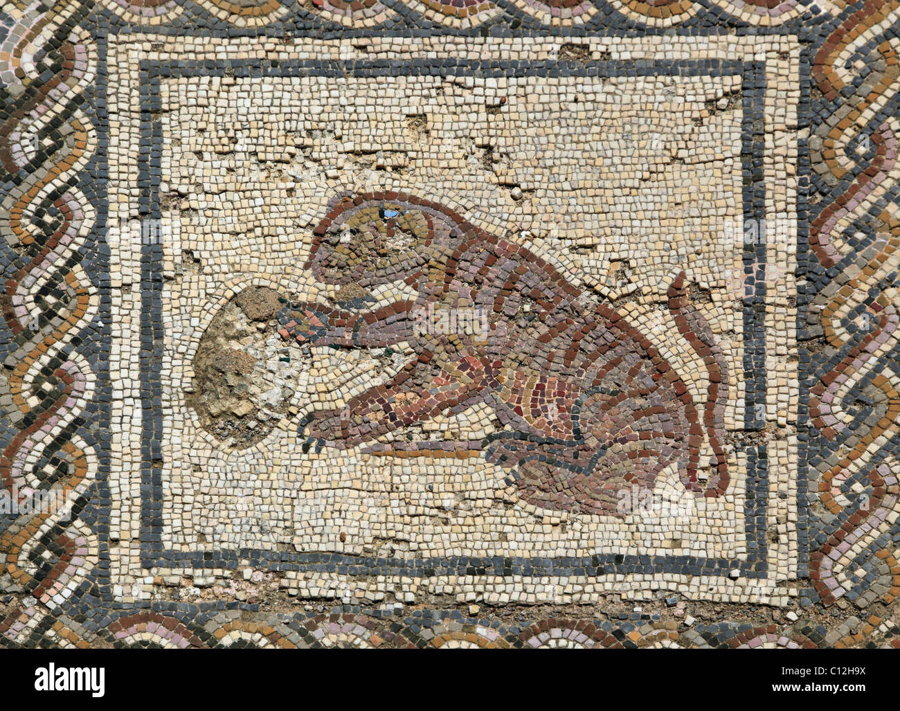 Römische Mosaiken in Italica, Sevilla, Spanien Stockfoto