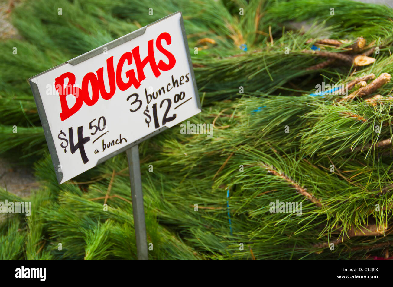 USA, New York, New York City, Weihnachtsbaum Filialen zum Verkauf Stockfoto