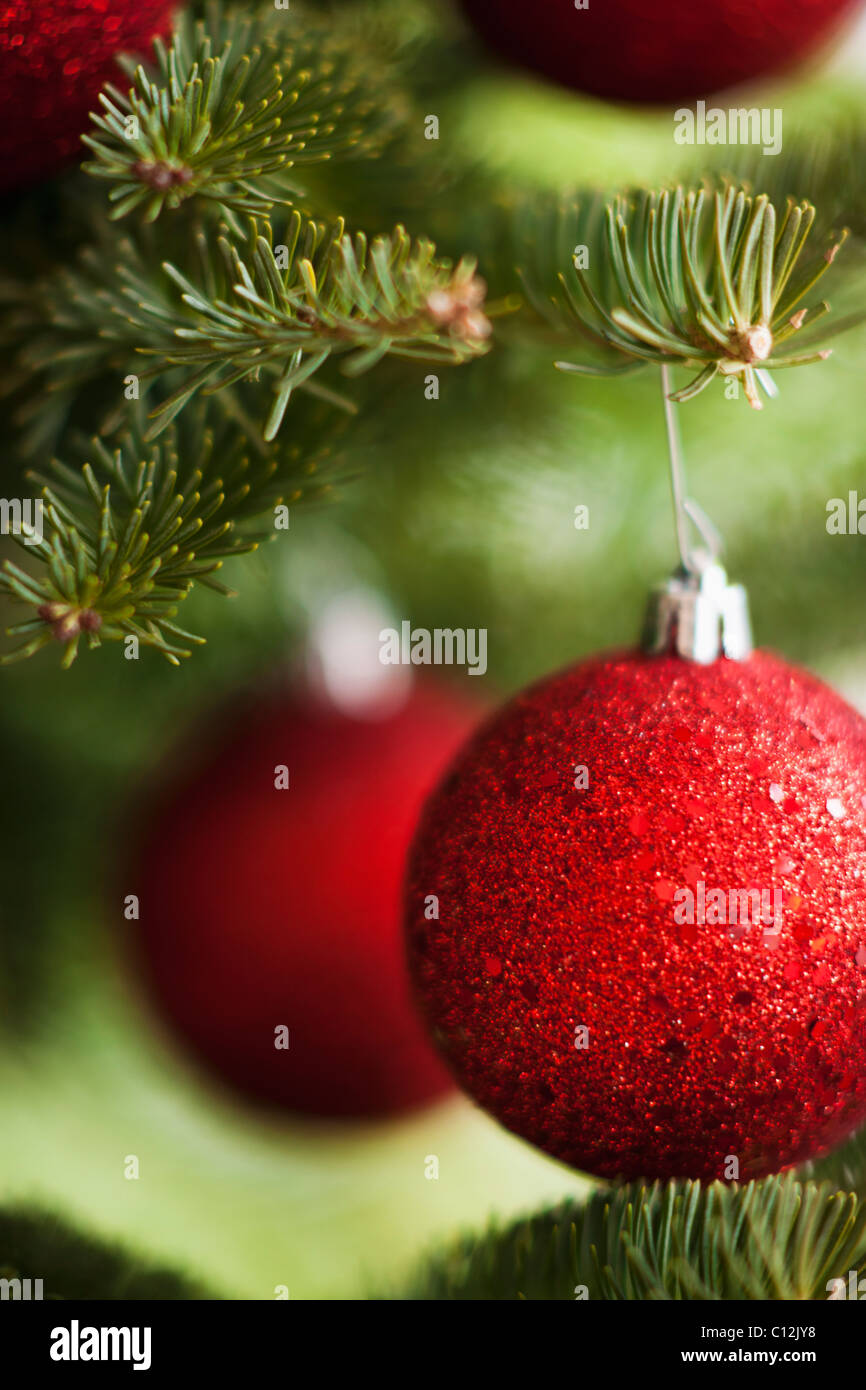 Rote Weihnachtskugeln am Baum Stockfoto