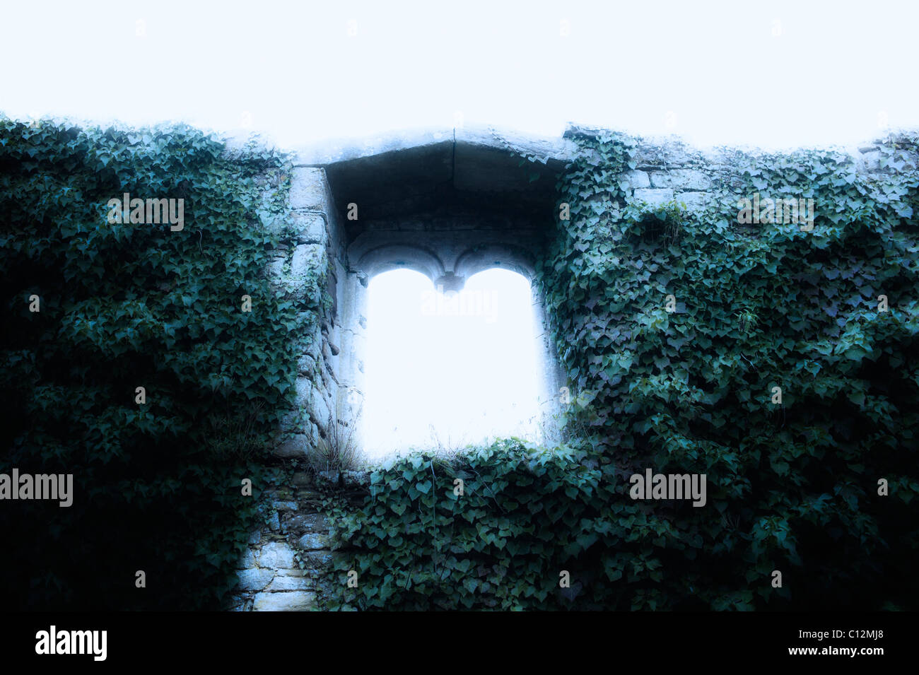 Vereinigtes Königreich, Bristol, Fenster in der alten Ruine Stockfoto