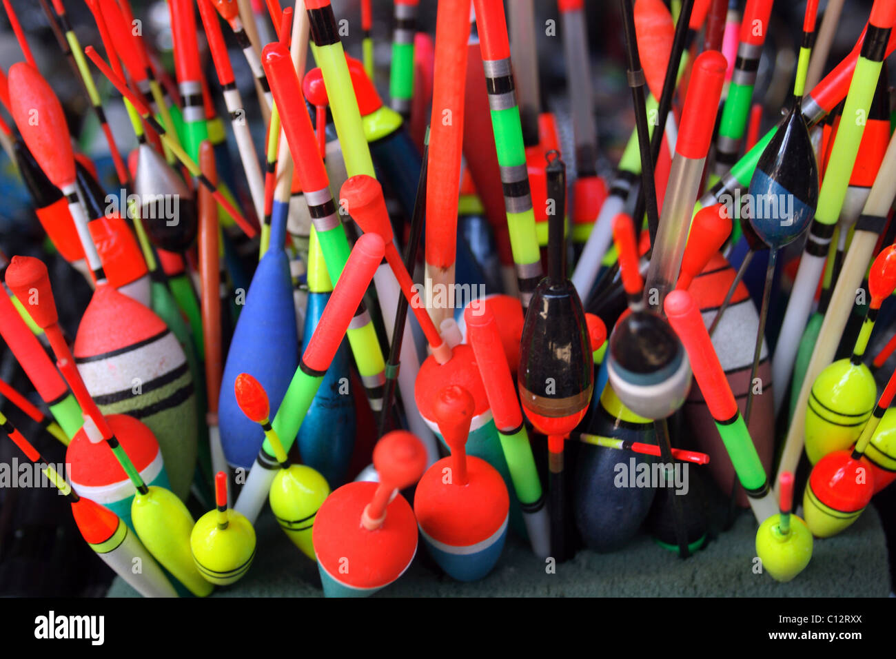 schwimmenden Fischen Stockfoto