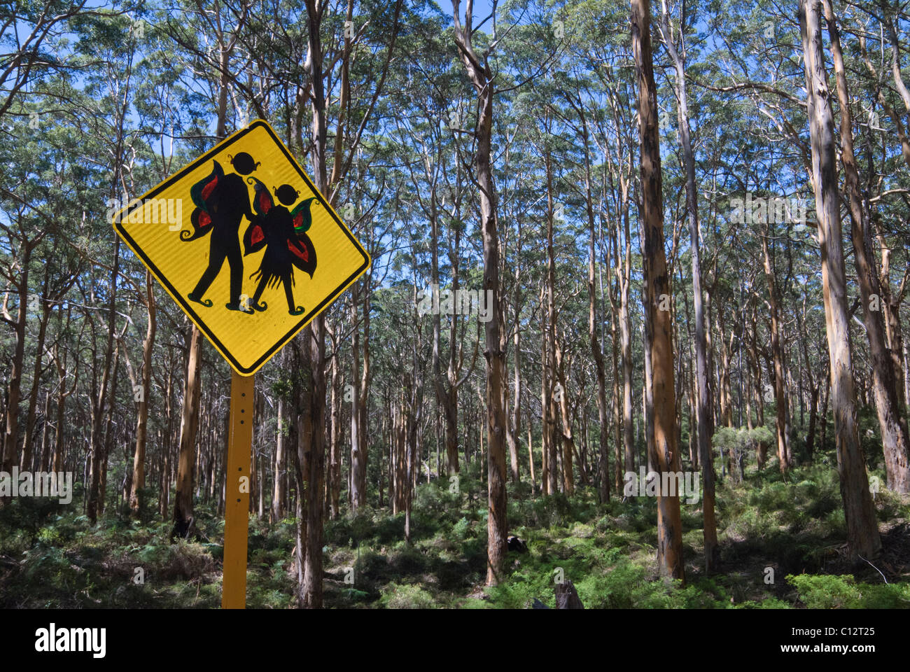 Lustige Graffiti verändert zu Fuß Weg-Zeichen in den Boranup Karri-Wald in der Margaret River Region von Western Australia Stockfoto