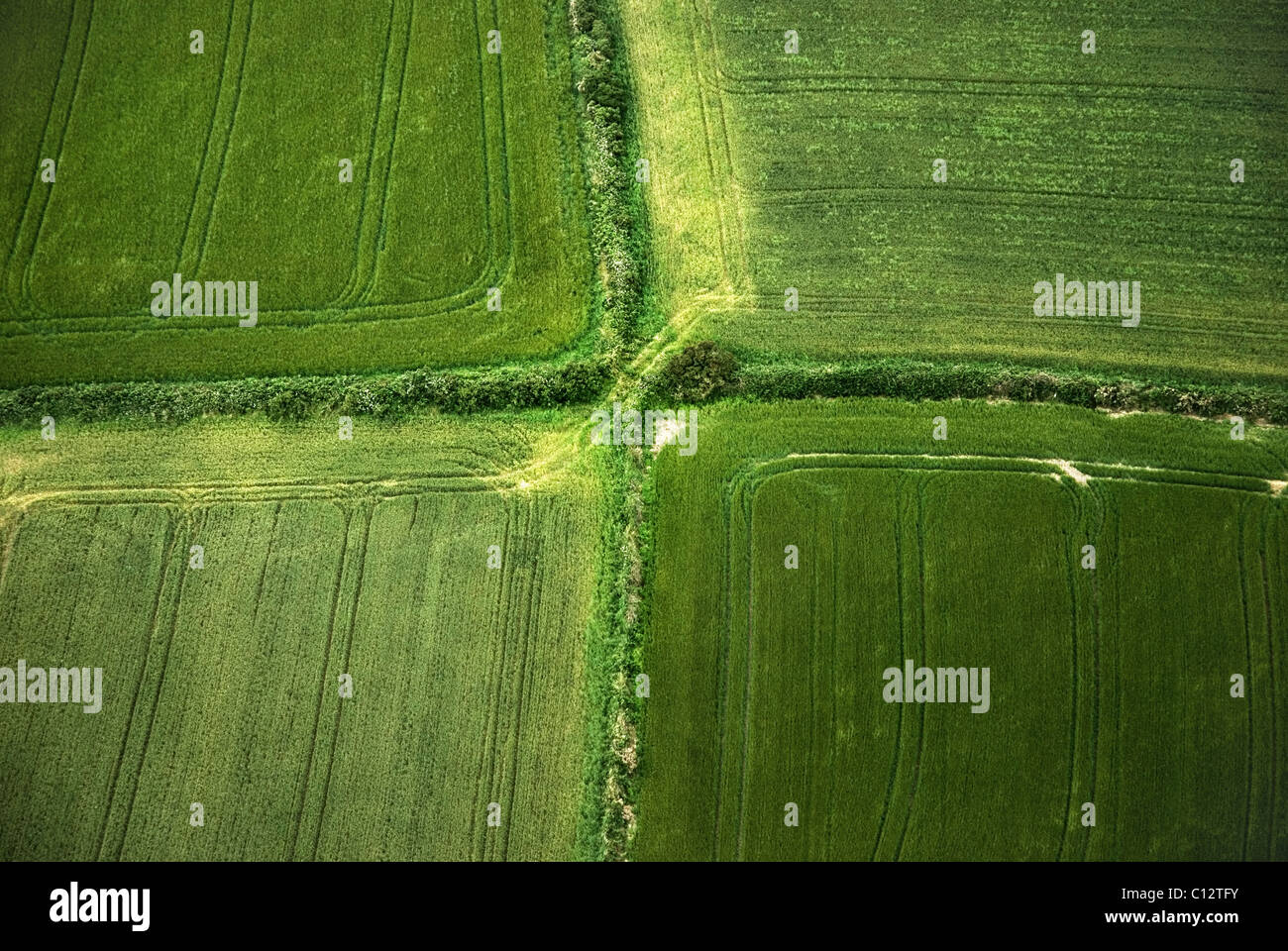 Ackerland in County Cork, Irland, Luftbild Stockfoto