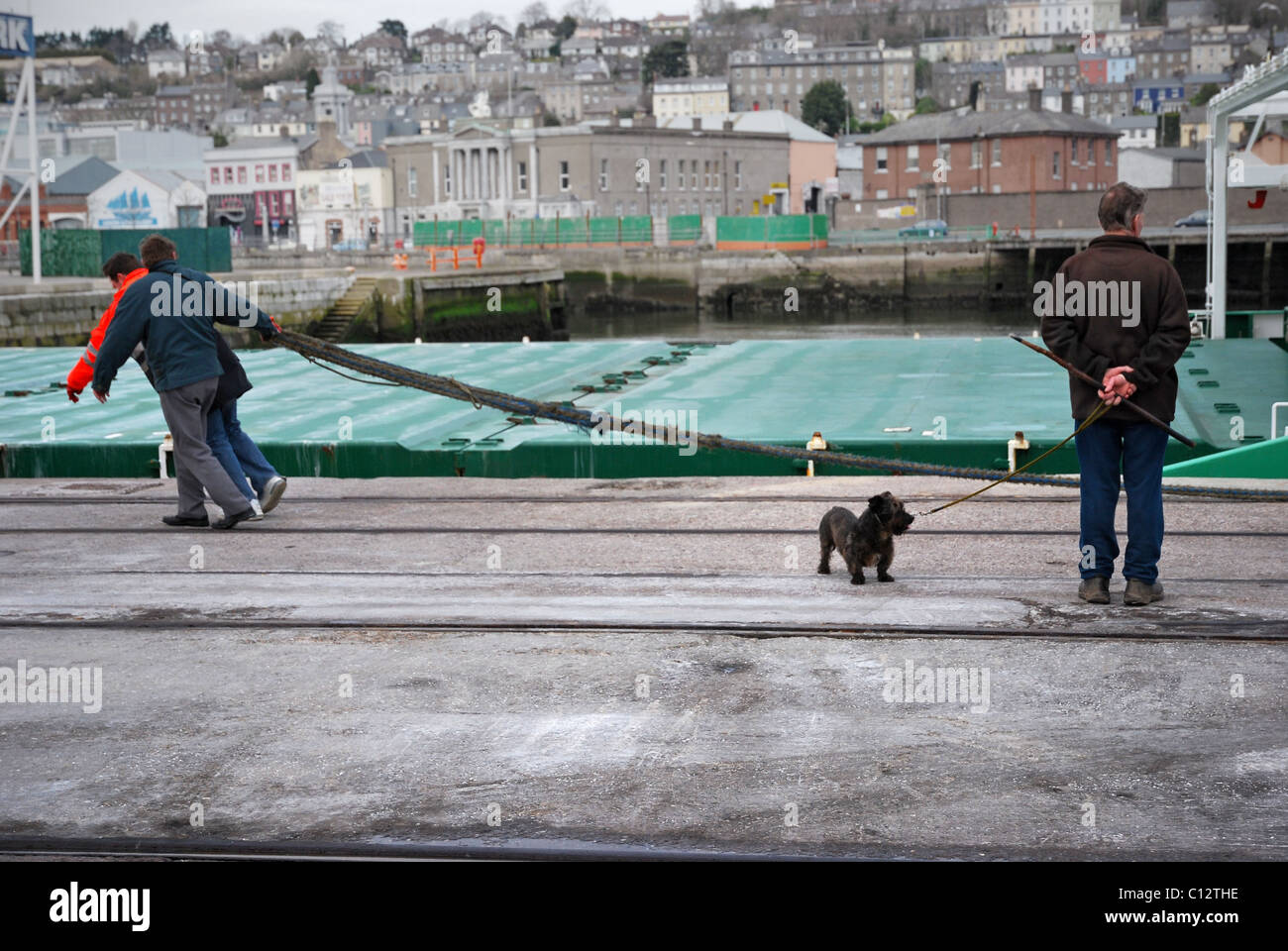 Der Mensch steht mit Hund beobachten Liegeplatz im Hafen von Cork, Irland Stockfoto