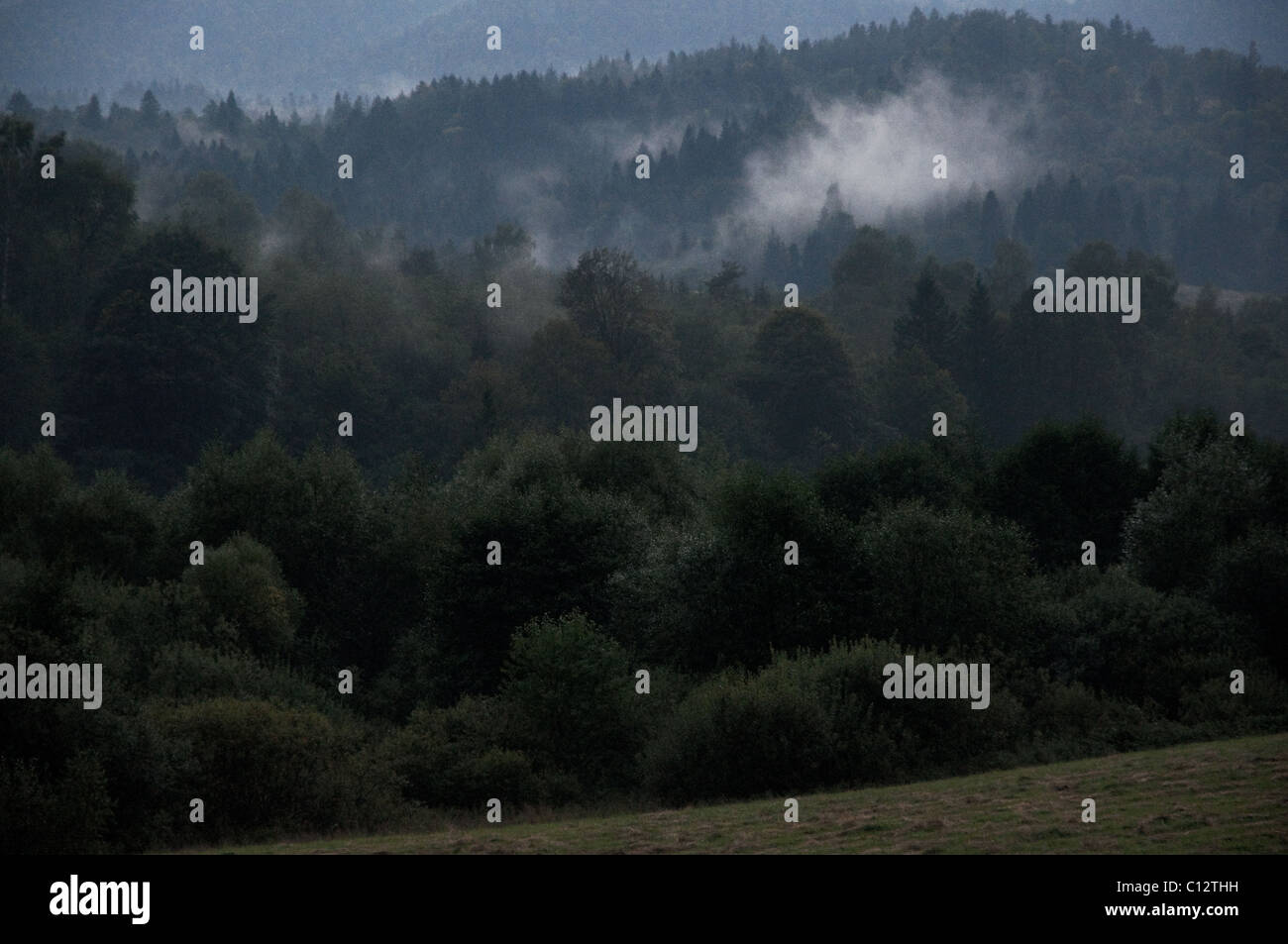 Bieszczady-Mountains-Nationalpark, Polen Stockfoto