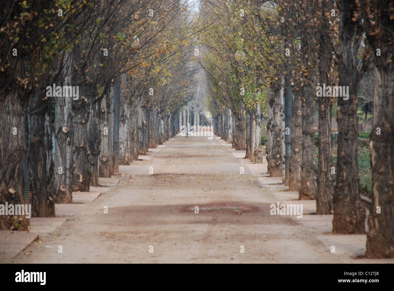 Granada, Andalusien, Spanien, Federico Garcia Lorca park Stockfoto