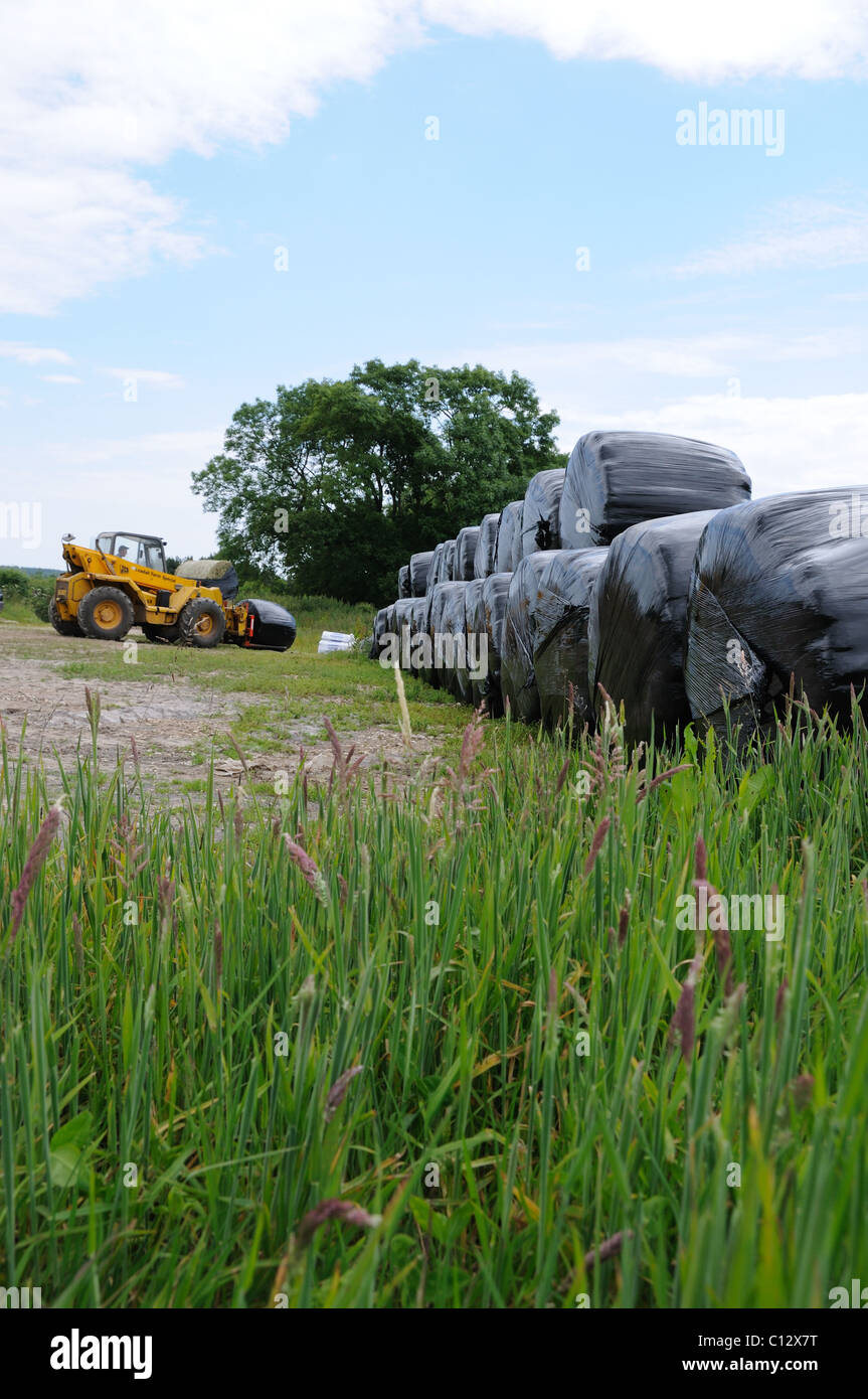 Heuballen gewickelt in schwarzem Kunststoff vom Landwirt verschoben wird Stockfoto