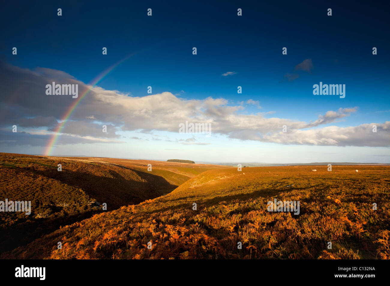 Moor und Regenbogen, festmachen Moorschneehühner im Herbst, Allendale, Northumberland, England Stockfoto