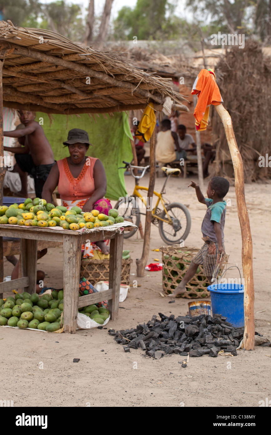 Frau verkauft Obst und Kohle. Kochen Kraftstoff zum Verkauf. Marktstand am Straßenrand. Ifty Markt. Süd-Madagaskar. Stockfoto