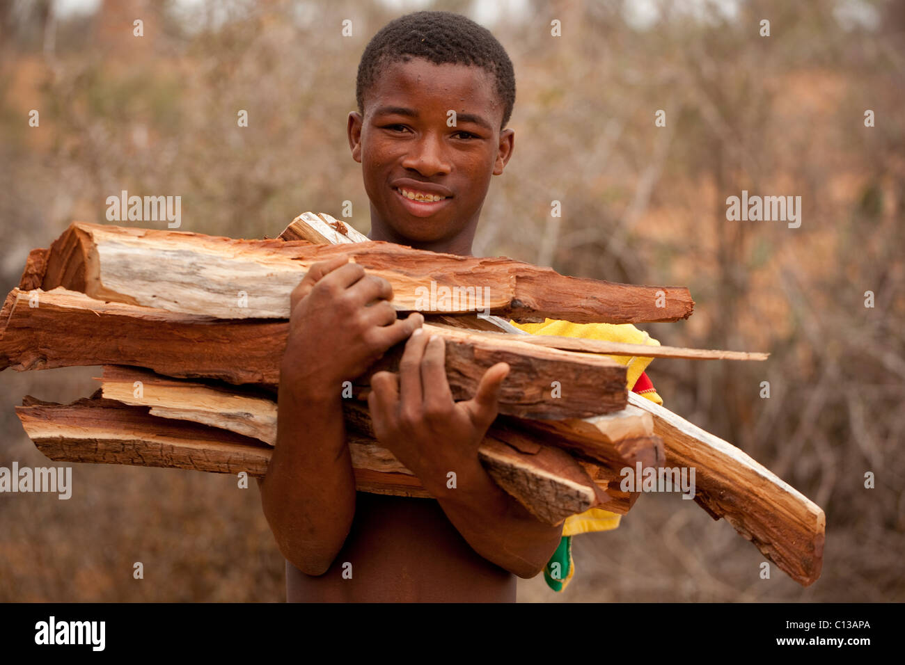 Junger Mann mit Schnittholz für die Entfernung von stacheligen Wald. Kraftstoff. Kohle-Produktion. Ifaty. Madagaskar. Stockfoto