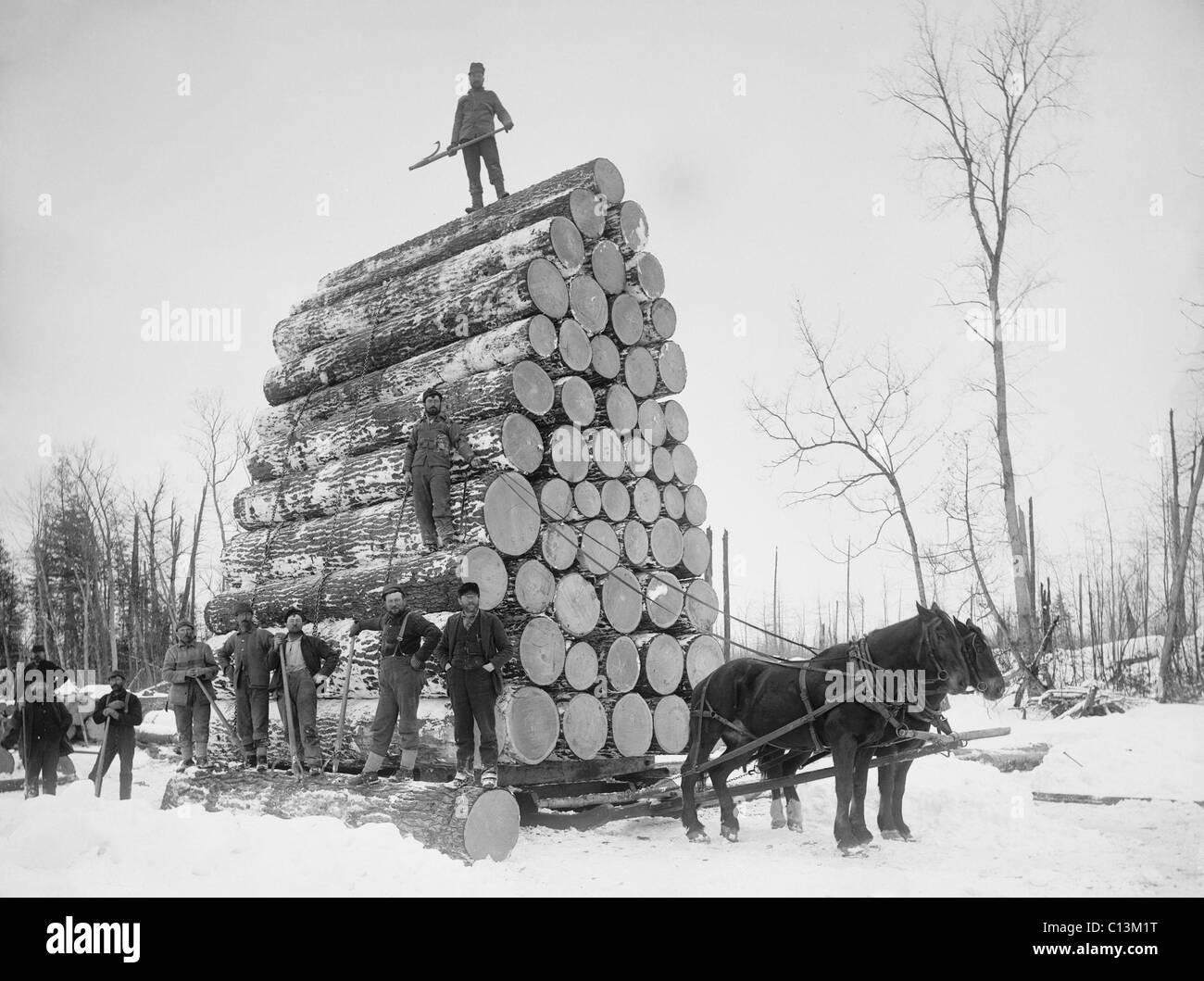 Große Belastung der Protokolle auf einem Pferd gezogenen Schlitten in Michigan, ca. 1899. Stockfoto