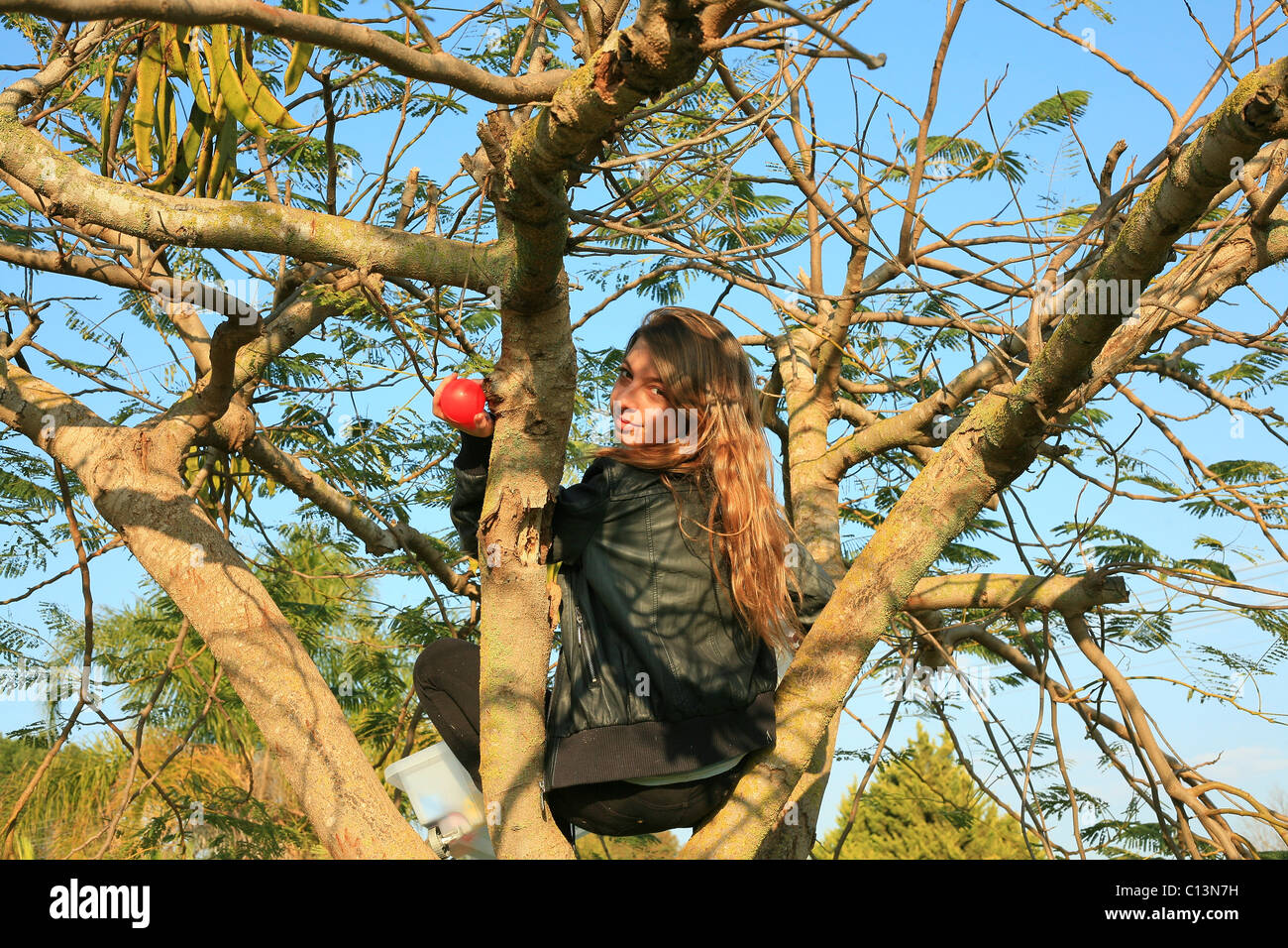Junge weibliche Teenager auf Baum Stockfoto