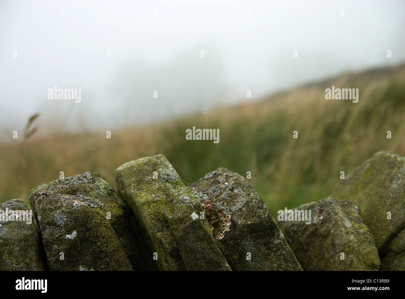 Northumberland-Trockenwand, nebeliger Hintergrund Stockfoto