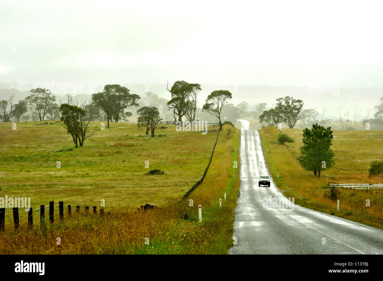 Eine Landstraße in der Nähe von Ebor in New South Wales Australien Stockfoto