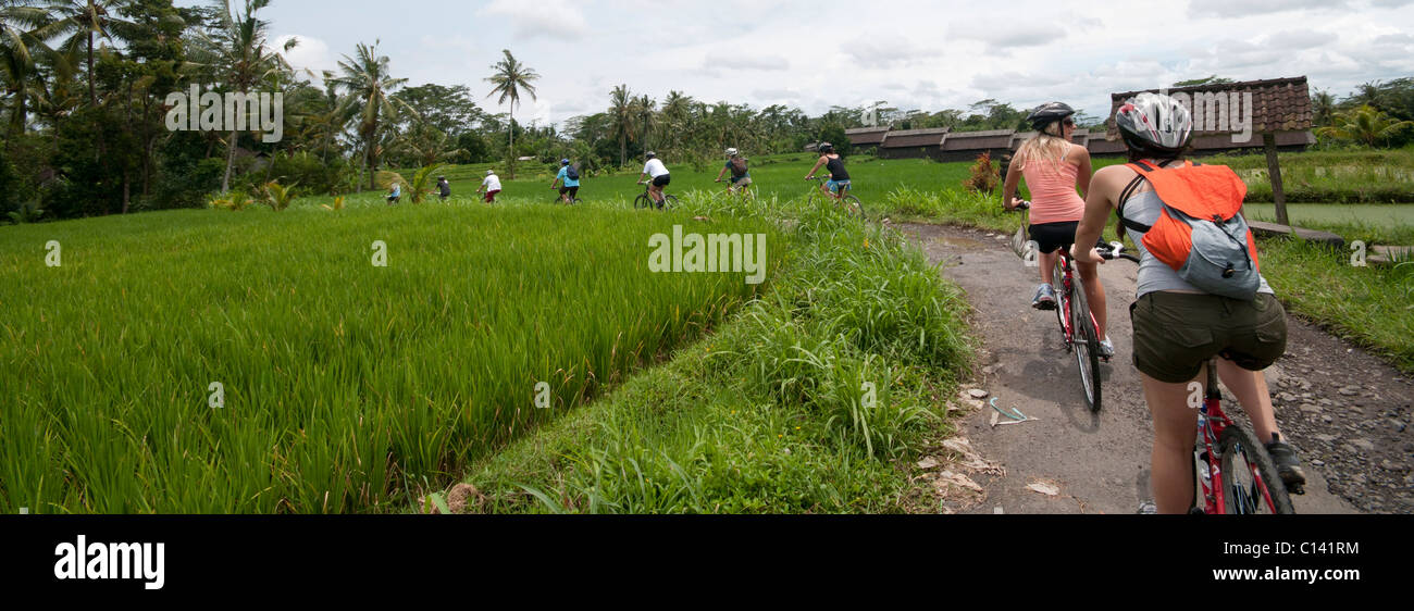 Mountainbike Touren durch Dörfer und Reisfelder auf Bali Indonesien Stockfoto
