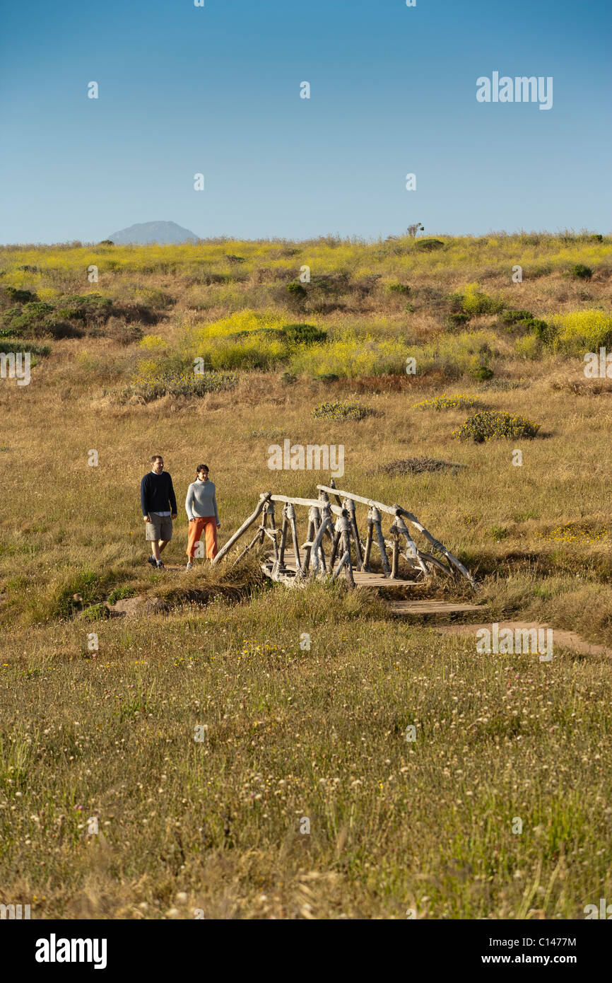 Bluff Trail am Pazifischen Ozean in Cambria, Kalifornien.  Teil des Fiscalini Ranch Preserve Trail, ehemals Ost/West Ranch. Stockfoto