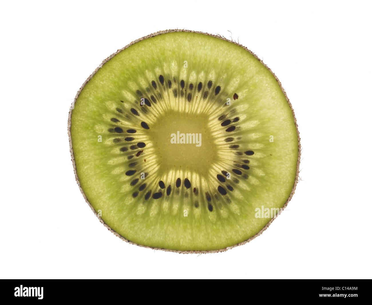 Scheibe Kiwi isoliert auf weißem Hintergrund Stockfoto