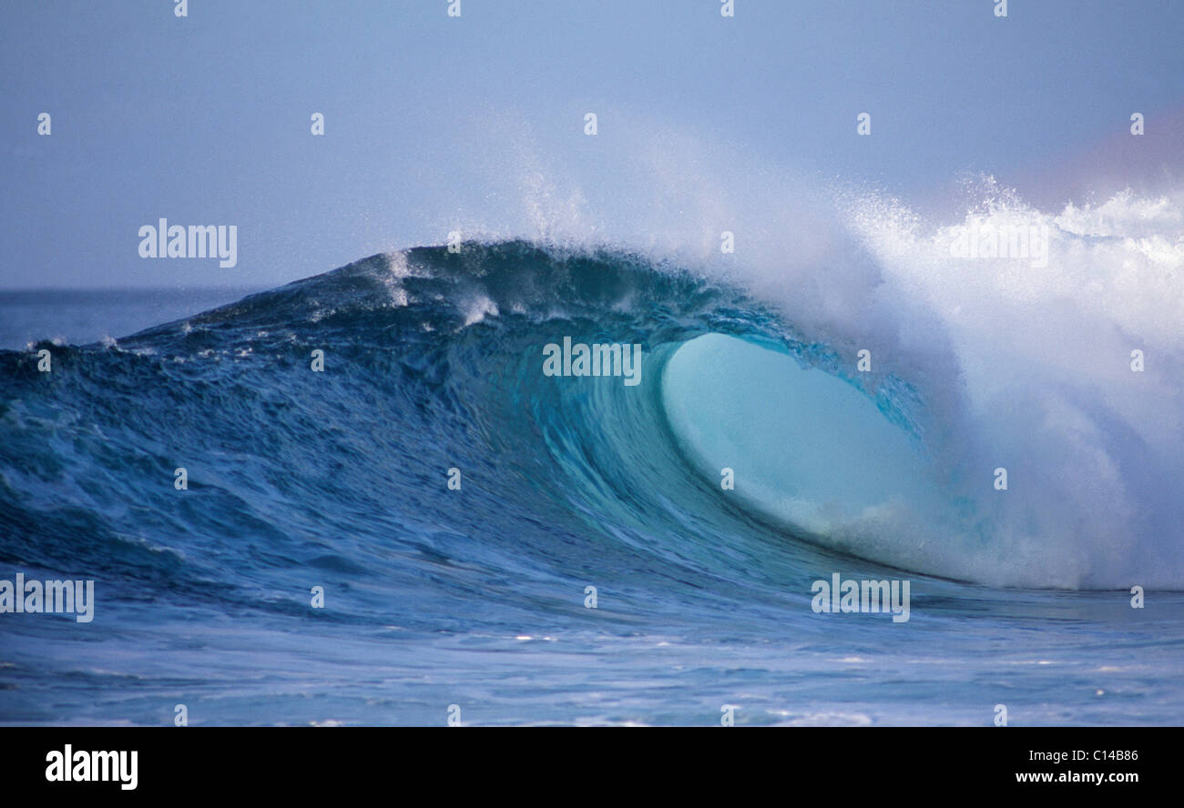 Big-Wave, Oahu, Hawaii, USA. Die ultimative Welle - Seitenansicht der großen Welle Schlauch Welle auf tropischen Strand - backdoor Pipeline. Stockfoto