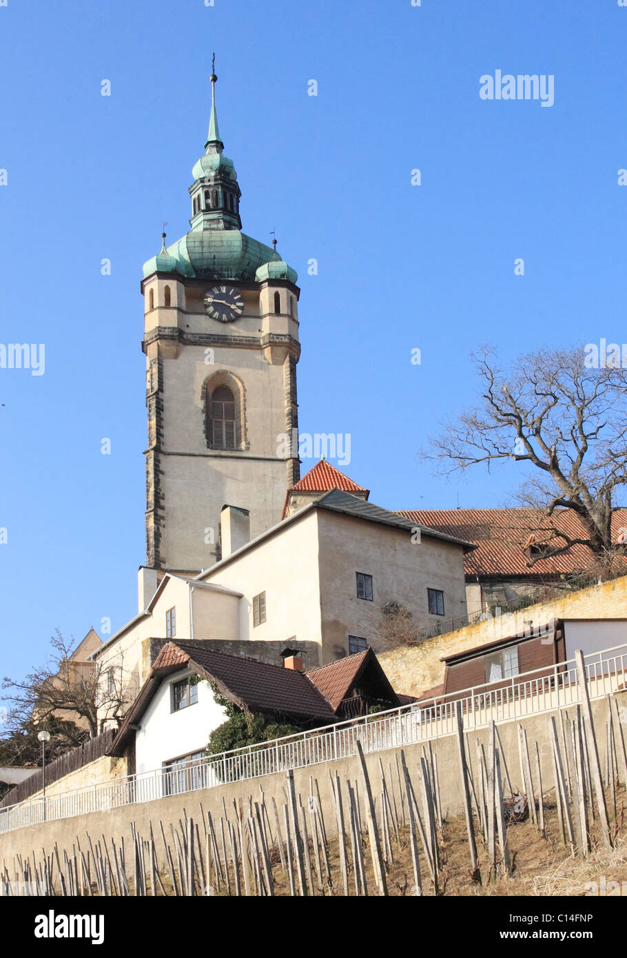 Melnik Burg oberhalb der Weinberge im zeitigen Frühjahr Stockfoto