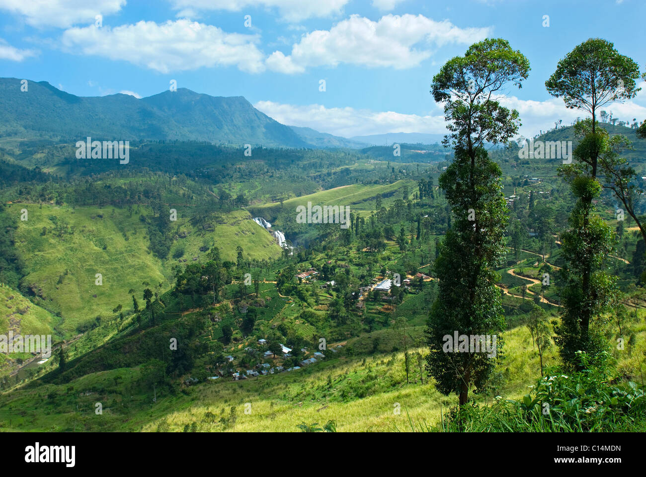 Hill Country, Sri Lanka Stockfoto