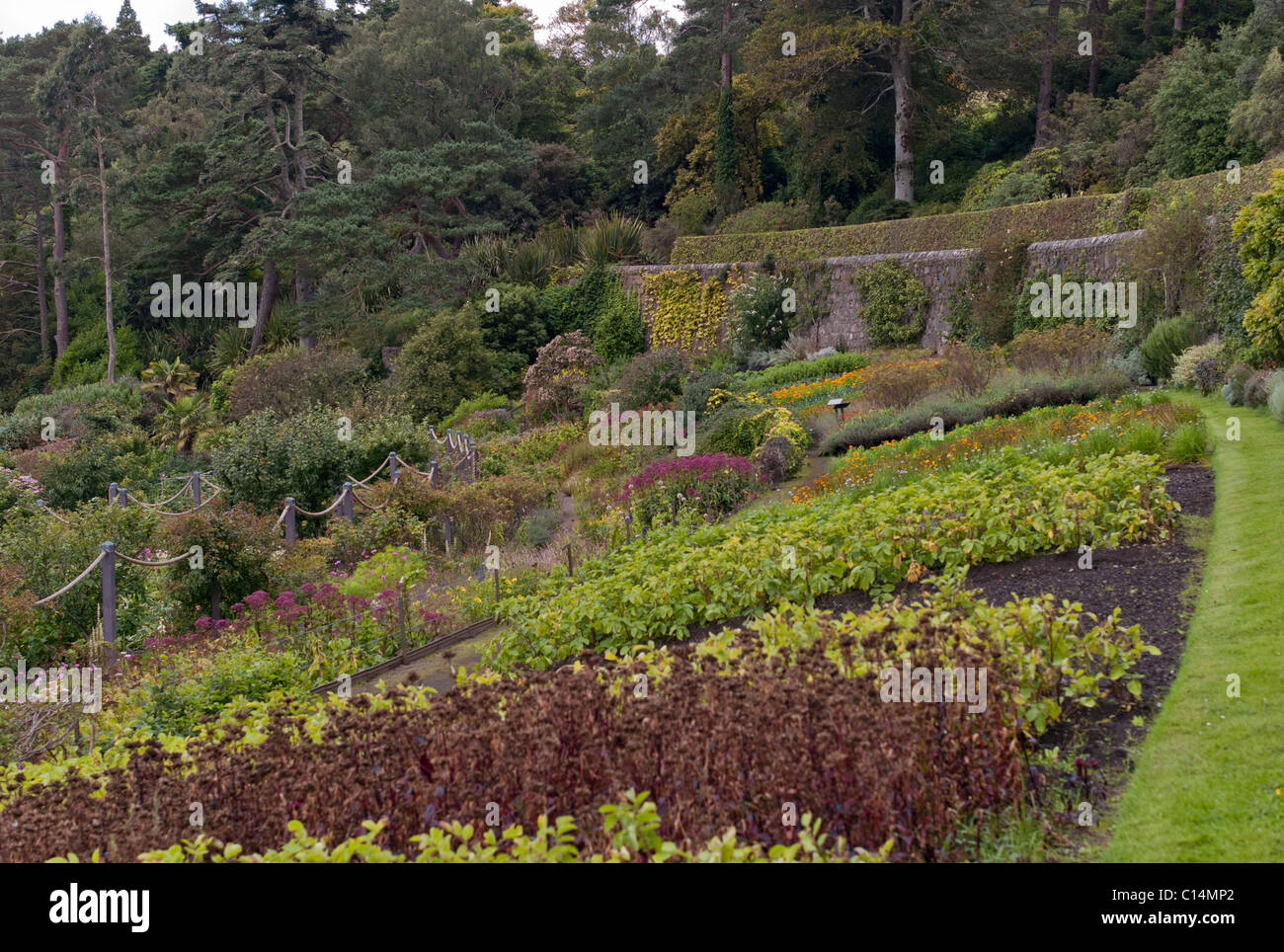 INVEREWE GARDENS SCHOTTLAND, VEREINIGTES KÖNIGREICH Stockfoto