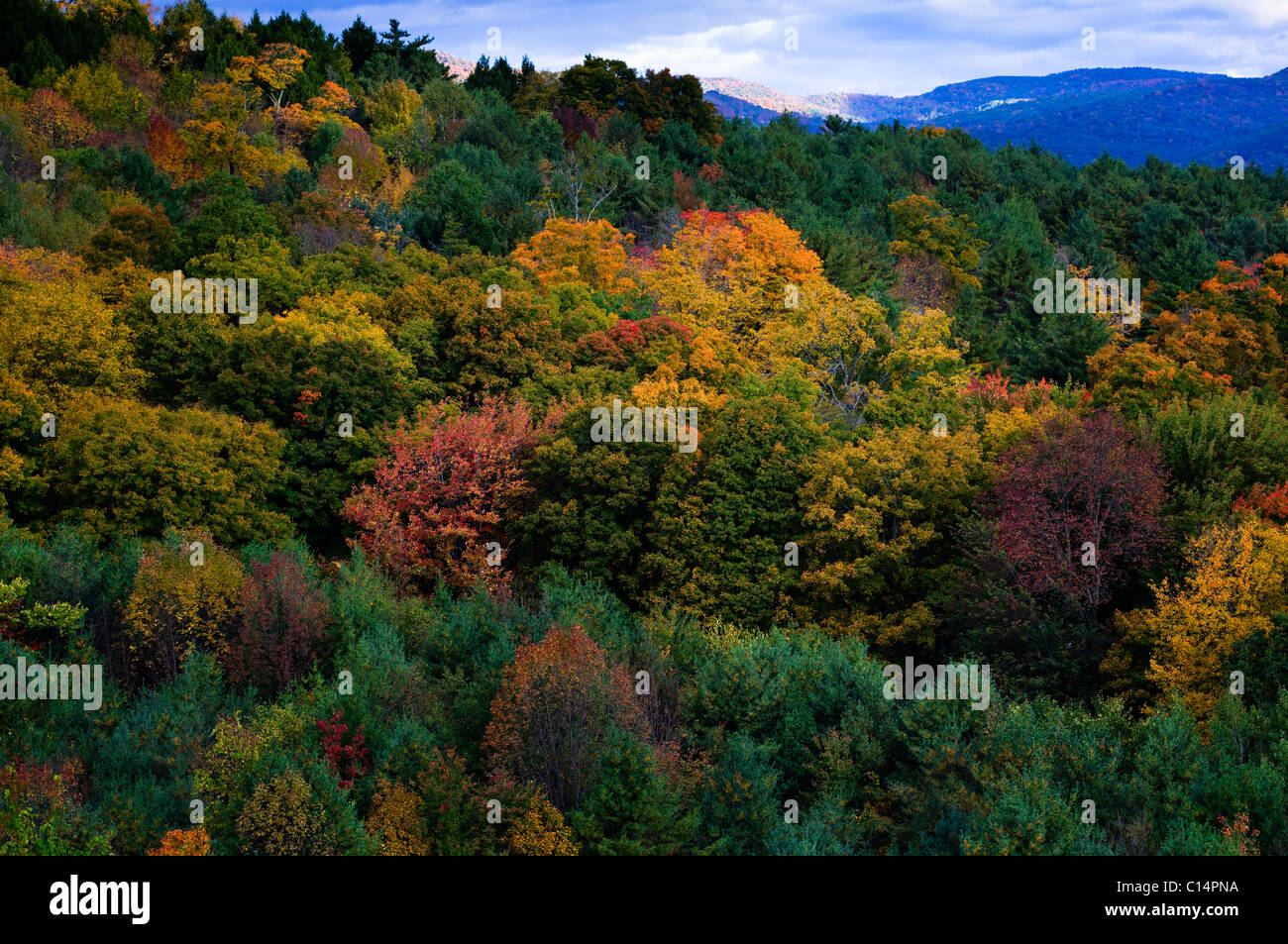HERBST-LAUB-WALD LUFTBILD BALLON WOODSTOCK VERMONT USA Stockfoto