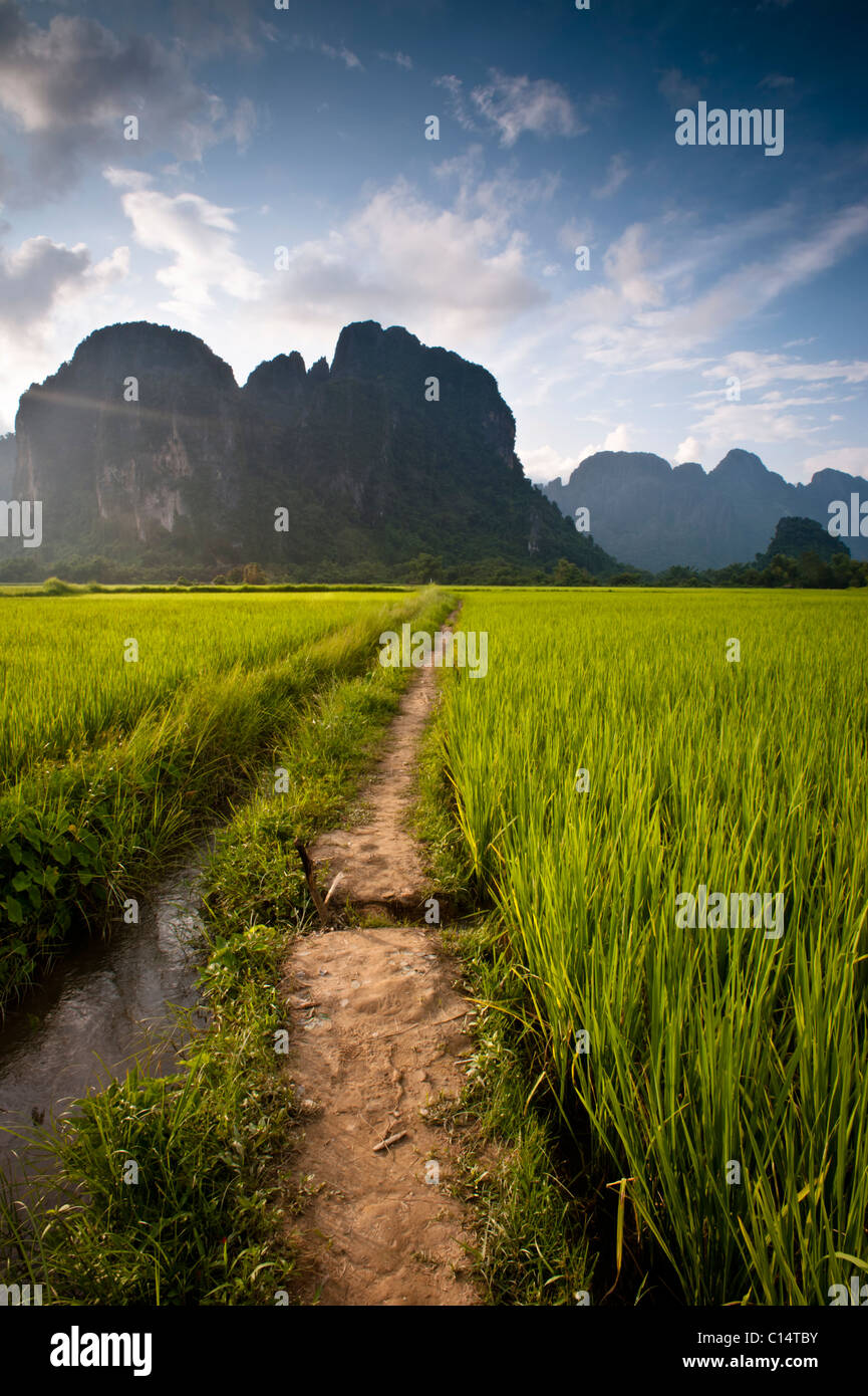 Weg durch Reisfelder zu Bergen. Vang Vieng, Laos, Asien. Stockfoto