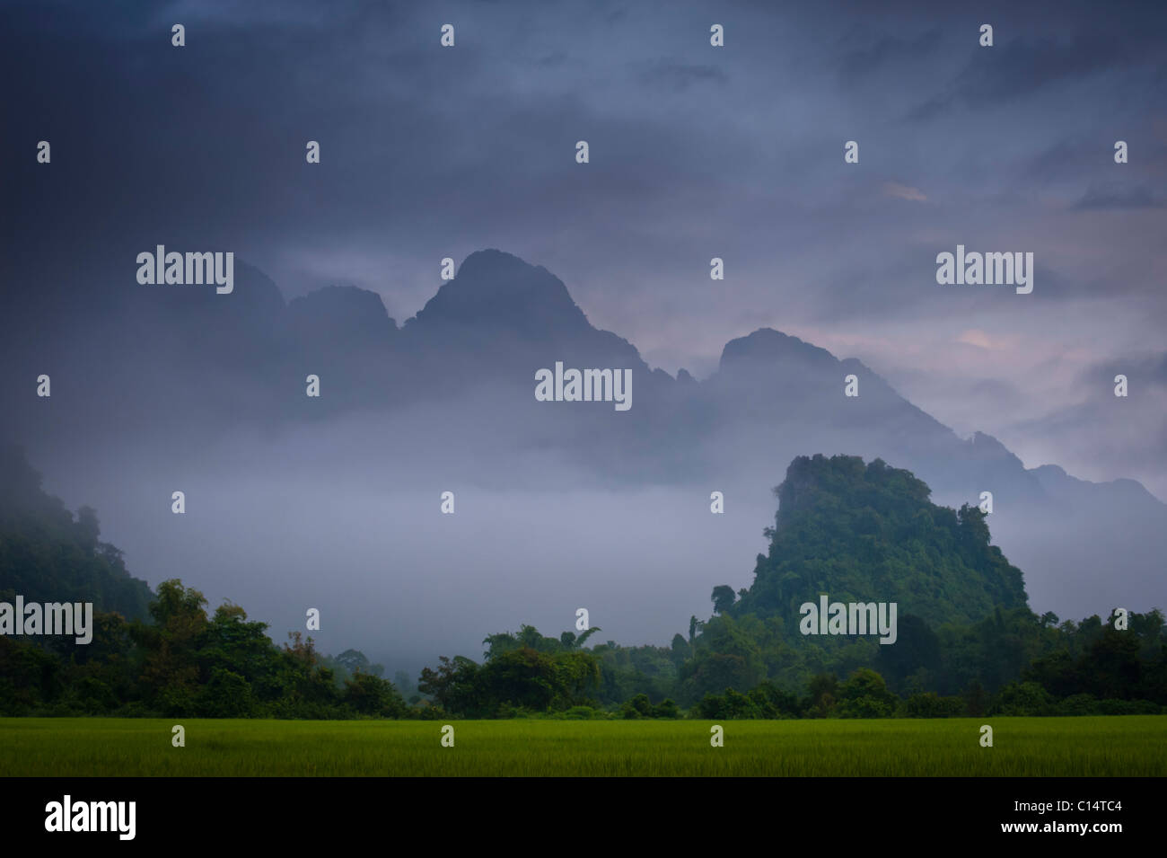Reisfelder und Berge in Vegetation in Nebel und Wolken bedeckt.  Vang Vieng, Laos, Asien. Stockfoto