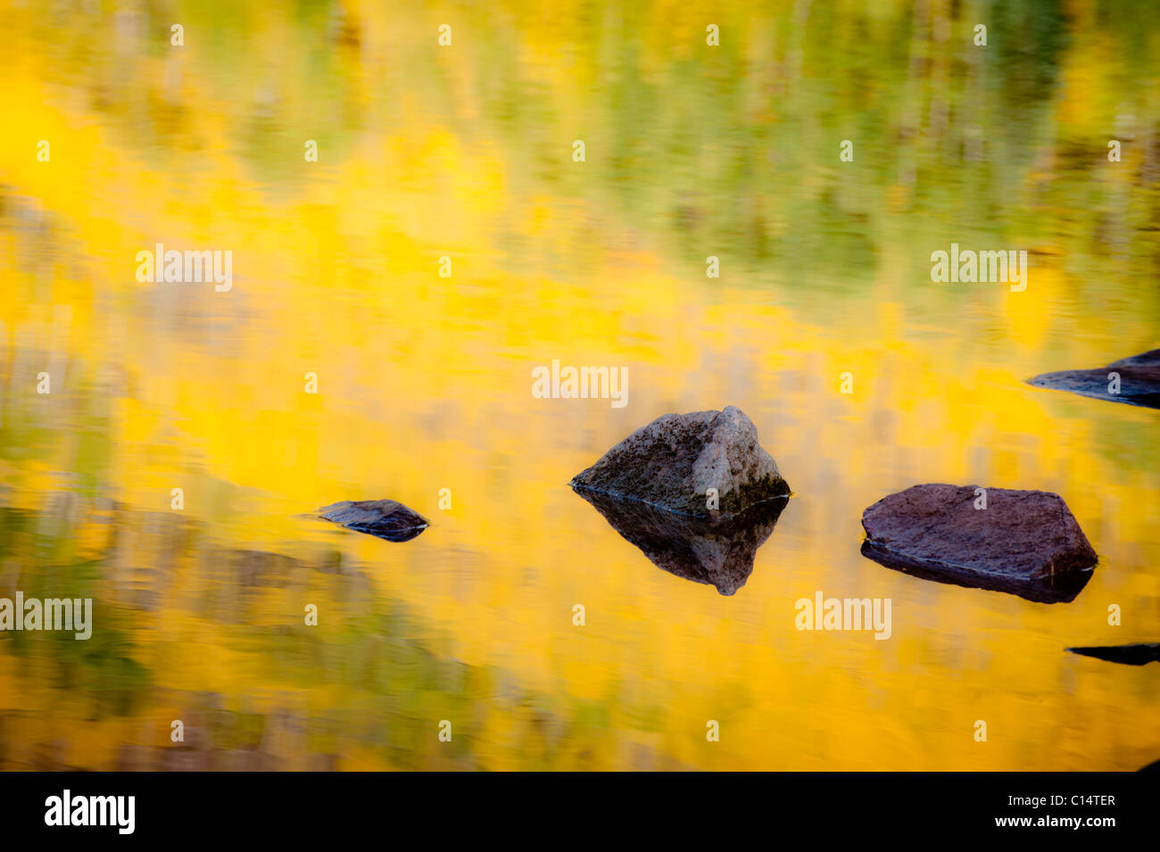 Felsen im Teich mit gelben Reflexen.  Aspen, Colorado. Stockfoto