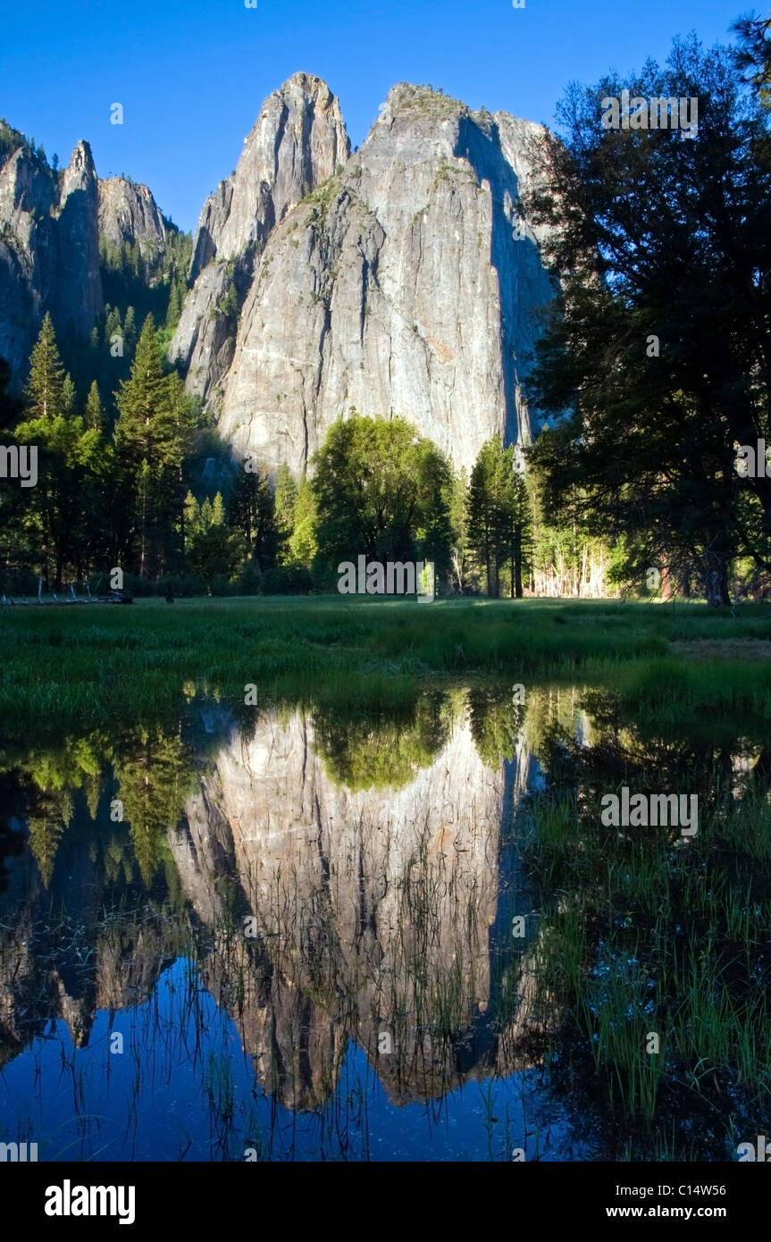 Cathedral Rocks spiegeln sich in einer Lache des Wassers im Yosemite Nationalpark, Kalifornien. Stockfoto