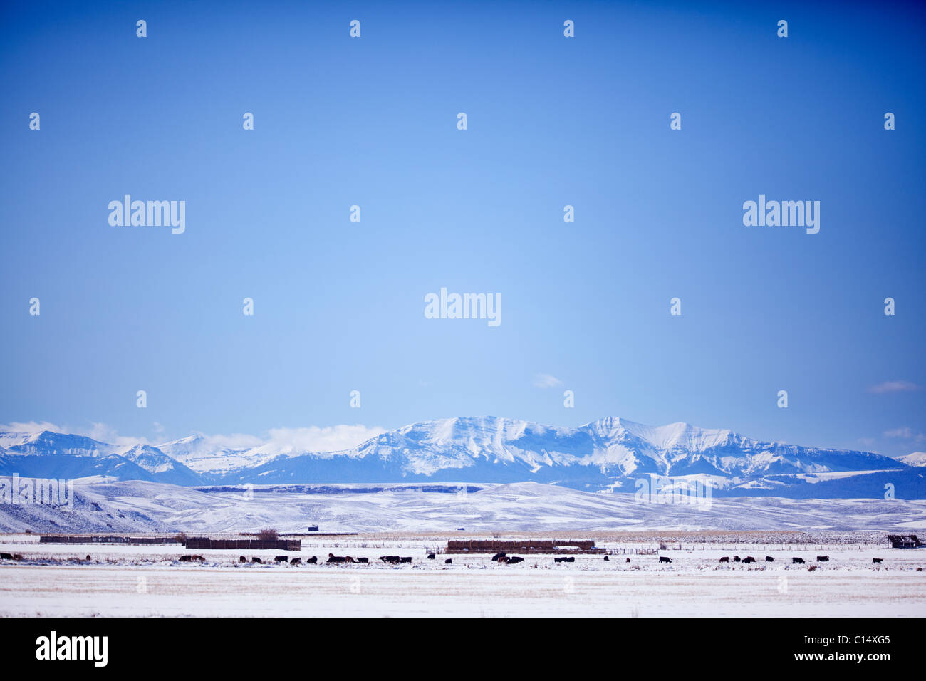 Blick nach Westen über verschneiten Ranch Land, Upper Green River Valley, mit Blick auf die Gipfel der Wyoming Sublette Grafschaft, Wyoming Stockfoto