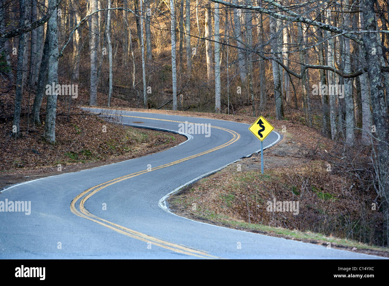 Kurvenreiche Straße auf den Blue Ridge Parkway - in der Nähe von Asheville, North Carolina, USA Stockfoto