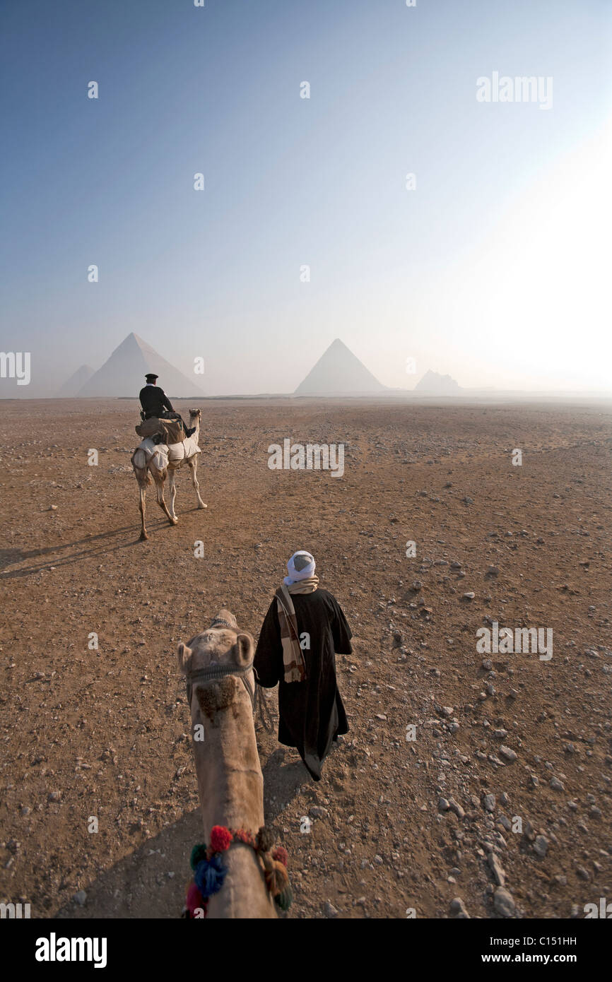 Kamele liefern noch Touristen mit dem Transport auf dem Gizeh-Plateau, während die Polizei das Tier als eine Notwendigkeit zu verwenden. Stockfoto