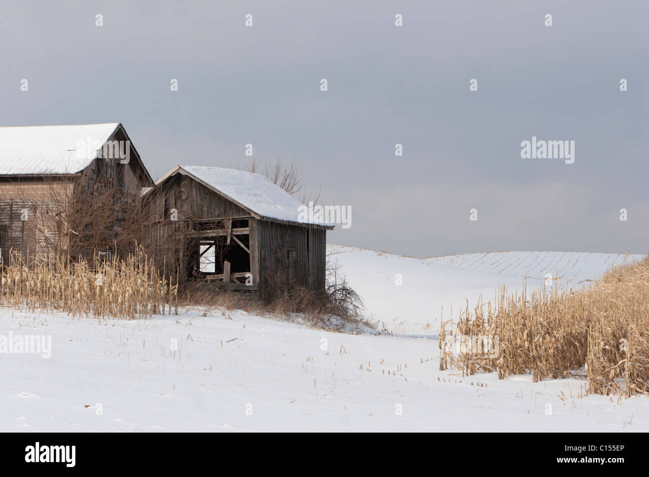 Winter Schnee Bauernhof Landschaft Scheune Mais Stockfoto