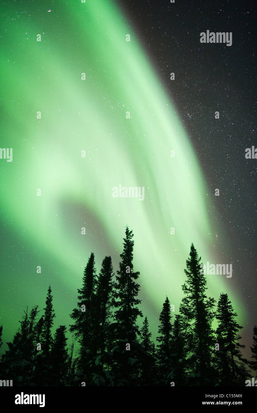 Aurora Borealis oder das Nordlicht, Nordwest-Territorien, Kanada Stockfoto