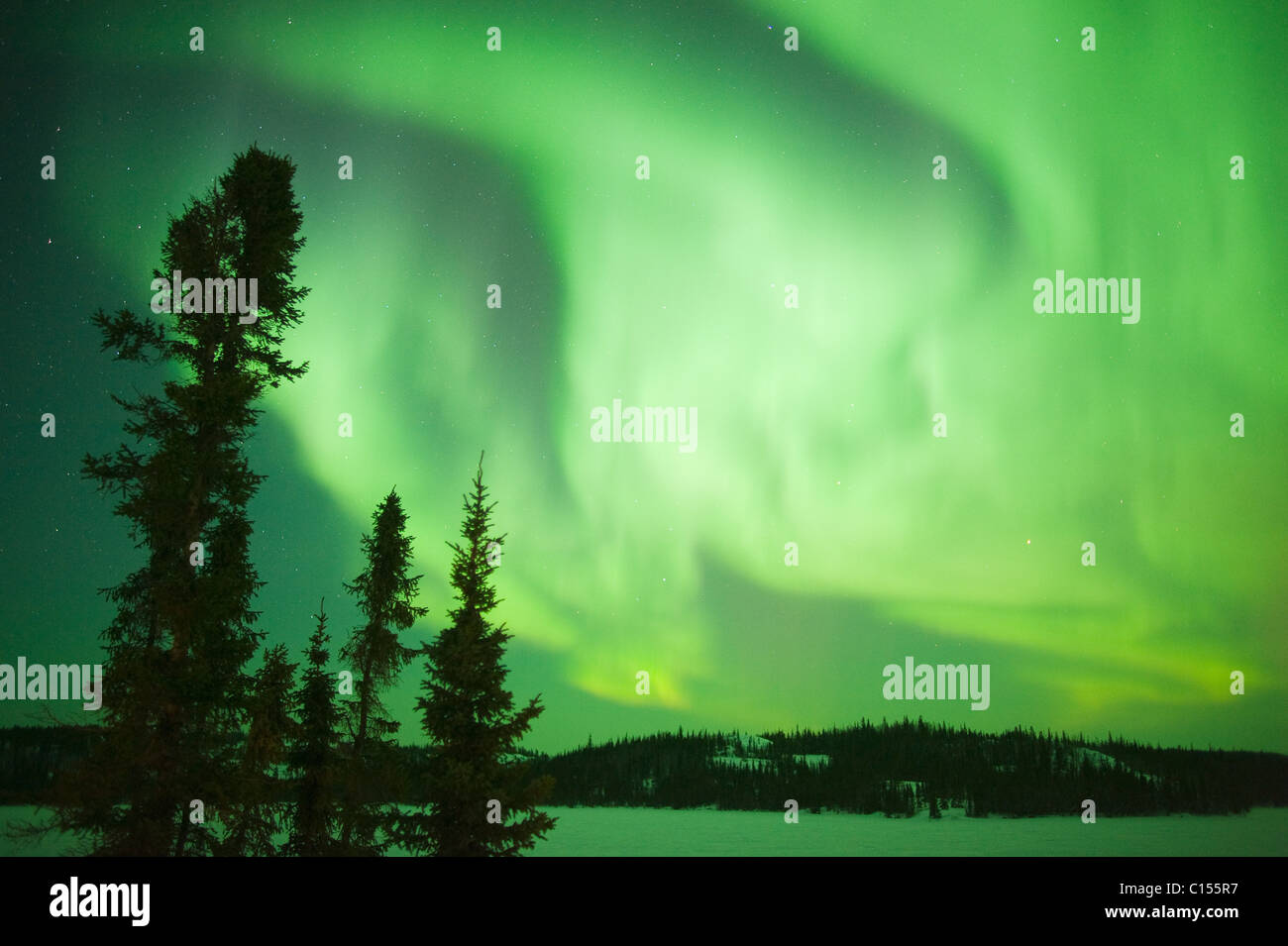 Aurora Borealis oder das Nordlicht, Nordwest-Territorien, Kanada Stockfoto