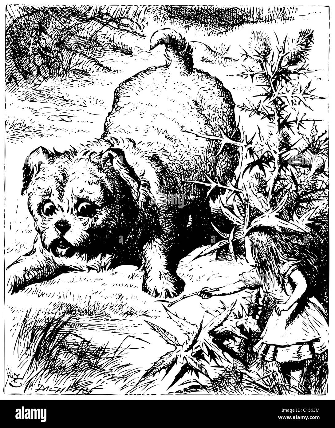 Alice im Wunderland Alter Stich. Alice zeigt einen Stick zu einem enormen Welpen oder Hund: Alices Abenteuer im Wunderland. Stockfoto