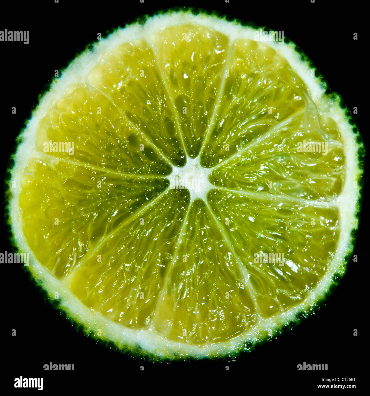 Eine saftige Kalk vor einem schwarzen Hintergrund Stockfoto