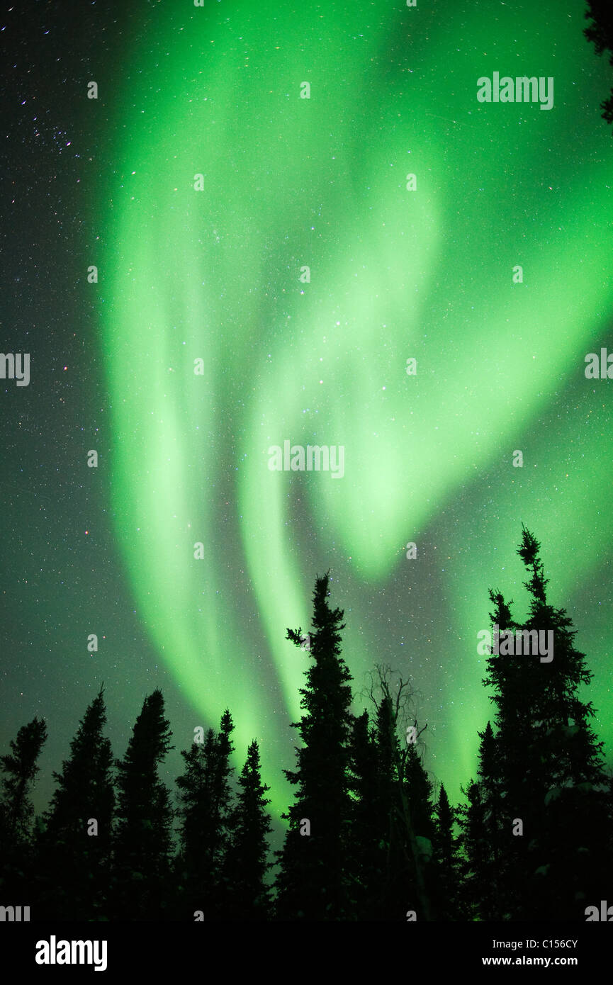 Aurora Borealis oder das Nordlicht, Nordwest-Territorien, Kanada Stockfoto